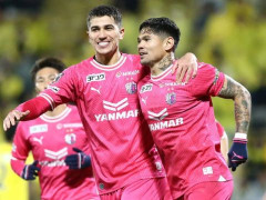 日职联精选：福冈黄蜂VS大阪樱花比分预测，樱花客场欲终结不胜局面