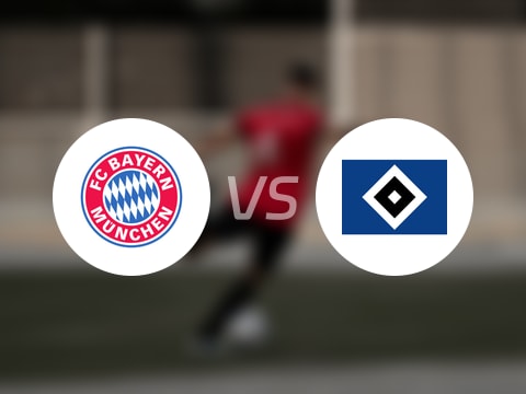 德甲比赛前瞻：拜仁vs汉堡预测分析(2025年09月14日)