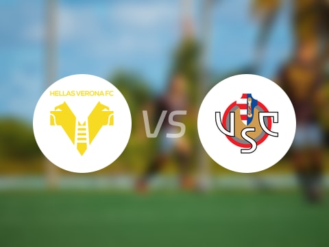 【意甲】维罗纳vs克雷莫纳伤病名单最新(2025年09月16日)