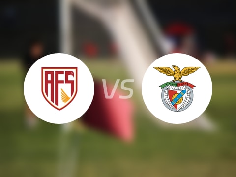 【葡超】阿维什镇vs本菲卡伤病名单最新(2025年09月21日)