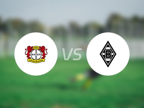 德甲比赛前瞻：勒沃库森vs门兴预测分析(2025年09月21日)