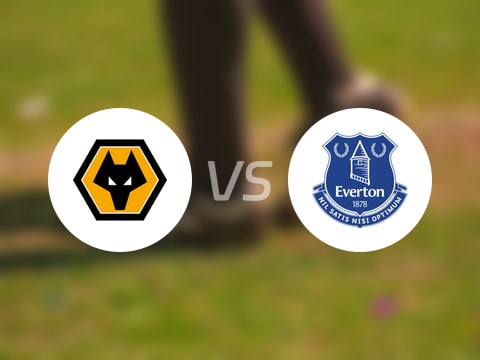 英联杯比赛前瞻：狼队vs埃弗顿预测分析(2025年09月24日)