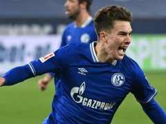 德乙精选：沙尔克04VS菲尔特比分预测，三叶草交战记录压制对手