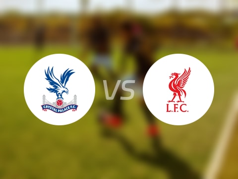 【英超】水晶宫vs利物浦伤病名单最新(2025年09月27日)