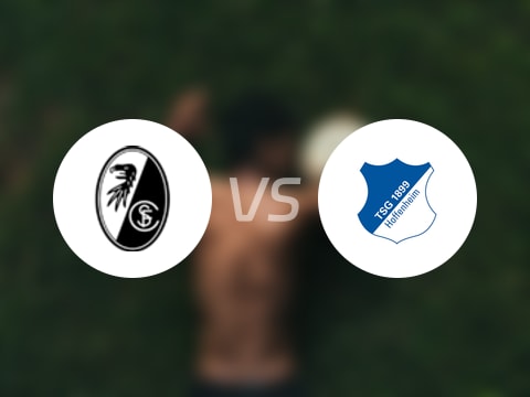 德甲比赛前瞻：弗赖堡vs霍芬海姆预测分析(2025年09月28日)