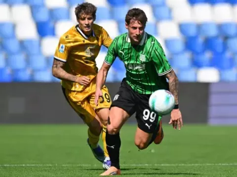 【全场回放】 萨索洛vs乌迪内斯 (谭逸雄)