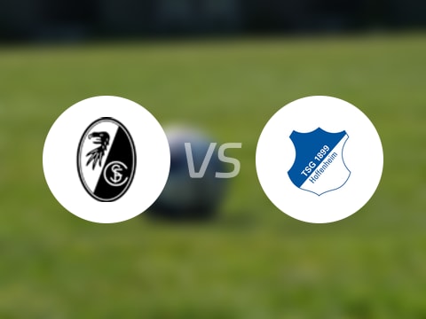 【德甲】弗赖堡vs霍芬海姆比赛结果：弗赖堡(1-1)霍芬海姆比分战报(2025年09月28日)