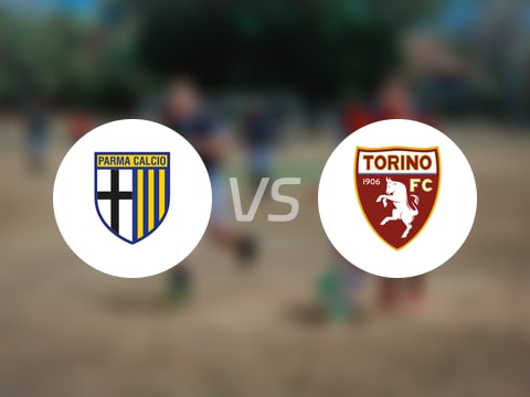 【意甲联赛第5轮】帕尔马vs都灵录像回放在线观看(2025年09月30日)