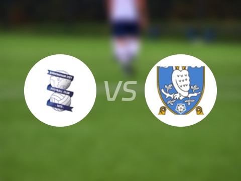 【英冠】伯明翰vs谢周三伤病名单最新(2025年10月01日)