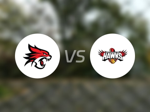 NBL比赛前瞻：珀斯野猫vs伊拉瓦拉老鹰预测分析(2025年10月02日)