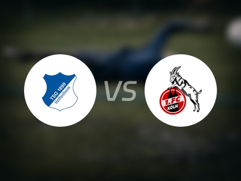 【德甲】霍芬海姆vs科隆伤病名单最新(2025年10月04日)