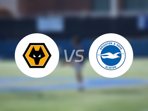 【英超】狼队vs布莱顿伤病名单最新(2025年10月05日)