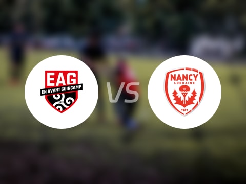 【法乙】甘冈vs南锡比赛结果：甘冈(2-2)南锡比分战报(2025年10月04日)