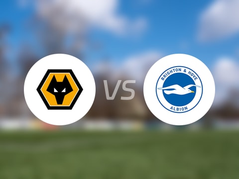 英超比赛前瞻：狼队vs布莱顿预测分析(2025年10月05日)