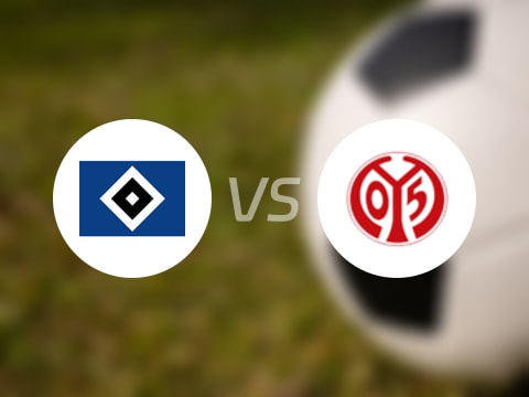 【德甲】汉堡vs美因茨伤病名单最新(2025年10月05日)