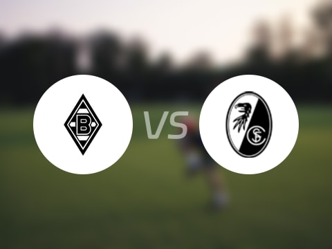 【德甲】门兴vs弗赖堡伤病名单最新(2025年10月06日)