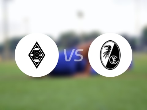 【德甲联赛第6轮】门兴vs弗赖堡直播在线观看(2025年10月06日)