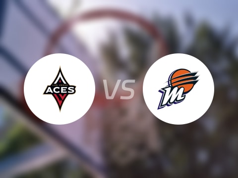 【WNBA】王牌vs水星伤病名单最新(2025年10月09日)