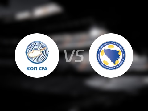 世欧预比赛前瞻：塞浦路斯vs波黑预测分析(2025年10月10日)