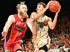 nbl前瞻 珀斯野猫VS凯恩斯毒蛇比分推荐|预测 士气正盛的野猫追击三连胜