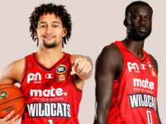 澳大利亚NBL前瞻|凯恩斯太攀蛇VS珀斯野猫比分预测 野猫状态不俗