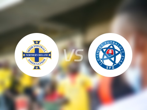 世欧预比赛前瞻：北爱尔兰vs斯洛伐克预测分析(2025年10月11日)