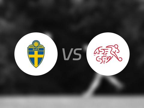 【世欧预分组赛第7轮】瑞典vs瑞士录像回放在线观看(2025年10月11日)