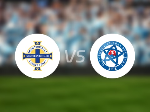 【世欧预分组赛第7轮】北爱尔兰vs斯洛伐克录像回放在线观看(2025年10月11日)