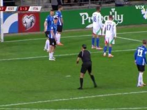 [世预赛全场集锦] 世预赛-基恩破门后伤退多纳鲁马送礼 意大利3-1爱沙尼亚