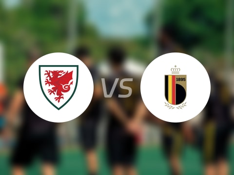 【世欧预分组赛第8轮】威尔士vs比利时录像回放在线观看(2025年10月14日)