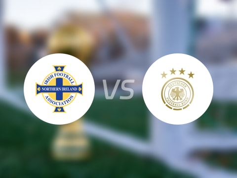 【世欧预分组赛第8轮】北爱尔兰vs德国录像回放在线观看(2025年10月14日)