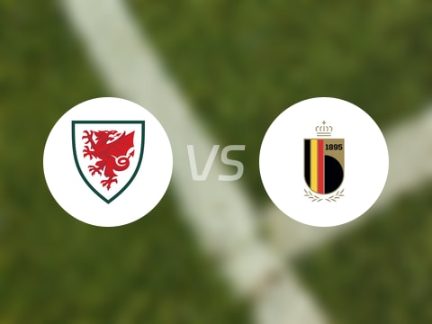 【世欧预分组赛第8轮】威尔士vs比利时直播在线观看(2025年10月14日)