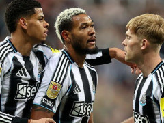 英超：布莱顿VS纽卡斯尔联预测分析 布莱顿能否顶住纽卡的攻势