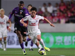 日职联精选：湘南丽海VS京都不死鸟比分预测，京都不死鸟客场争胜争夺冠军