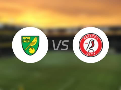 英冠比赛前瞻：诺维奇vs布里斯托尔城预测分析(2025年10月18日)