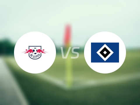 【德甲】RB莱比锡vs汉堡伤病名单最新(2025年10月18日)