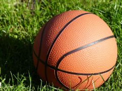 2025-26赛季cba上海队最新阵容名单详情一览