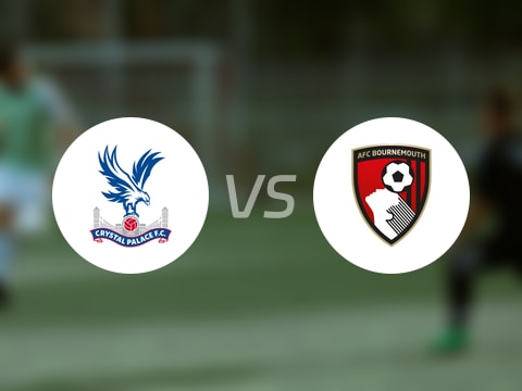 英超比赛前瞻：水晶宫vs伯恩茅斯预测分析(2025年10月18日)