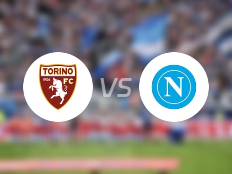 【意甲】都灵vs那不勒斯伤病名单最新(2025年10月19日)