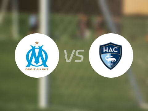 法甲比赛前瞻：马赛vs勒阿弗尔预测分析(2025年10月19日)