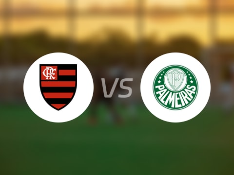 巴西甲比赛前瞻：弗拉门戈vs帕尔梅拉斯预测分析(2025年10月20日)