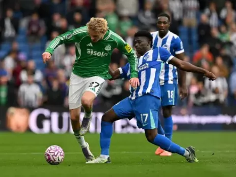 【全场回放】 布莱顿vs纽卡斯尔联 (苗锟)