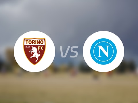 【意甲】都灵vs那不勒斯比赛结果：都灵(1-0)那不勒斯比分战报(2025年10月19日)