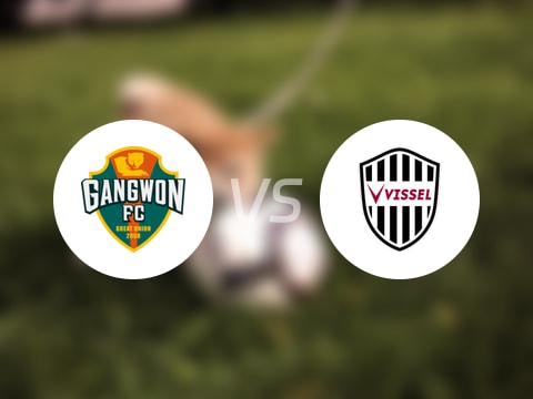 【亚精英赛】江原FCvs神户胜利船首发阵容名单(2025年10月22日)