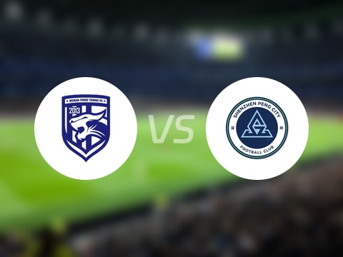 中超比赛前瞻：武汉三镇vs深圳新鹏城预测分析(2025年10月24日)