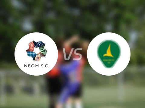 沙特联比赛前瞻：新未来城体育vs塞哈特海湾预测分析(2025年10月24日)