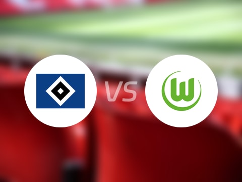 德甲比赛前瞻：汉堡vs沃尔夫斯堡预测分析(2025年10月25日)