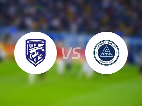 【中超】武汉三镇vs深圳新鹏城首发阵容名单(2025年10月24日)