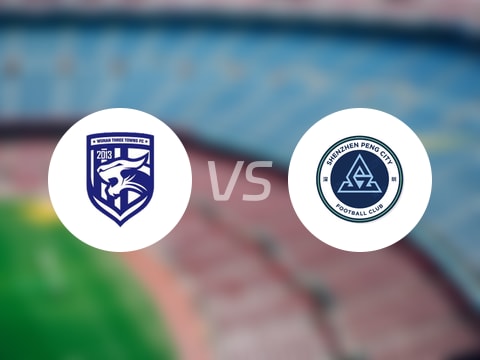 【中超联赛第28轮】武汉三镇vs深圳新鹏城录像回放在线观看(2025年10月24日)