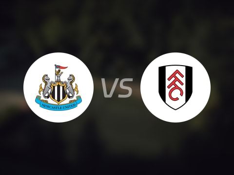 【英超】纽卡斯尔联vs富勒姆伤病名单最新(2025年10月25日)